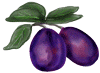 plums